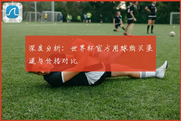 深度分析：世界杯官方用球购买渠道与价格对比
