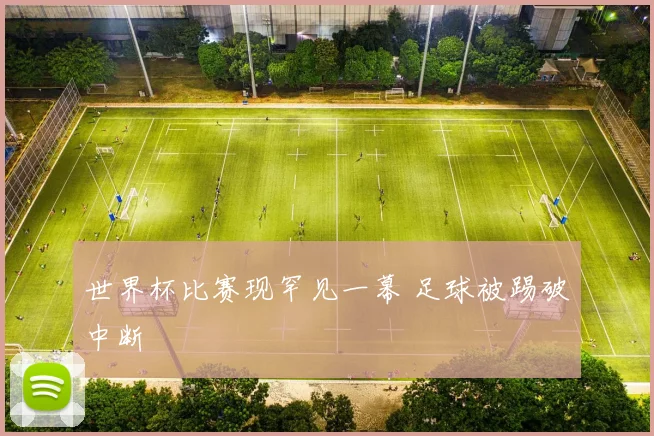 世界杯比赛现罕见一幕 足球被踢破中断