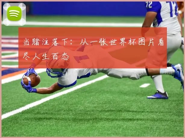 当赌注落下:从一张世界杯图片看尽人生百态