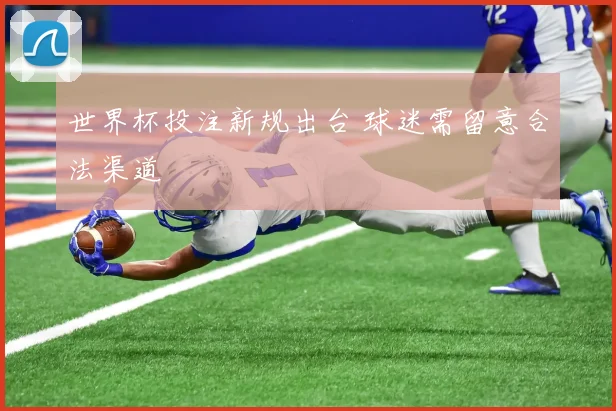 世界杯投注新规出台 球迷需留意合法渠道