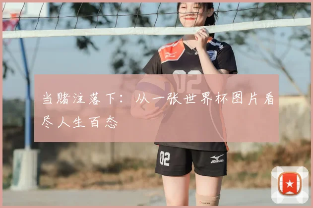 当赌注落下:从一张世界杯图片看尽人生百态
