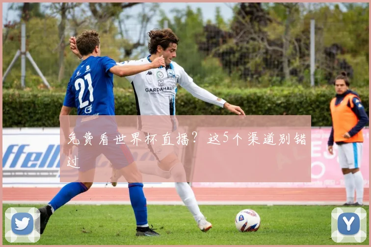 免费看世界杯直播？这5个渠道别错过