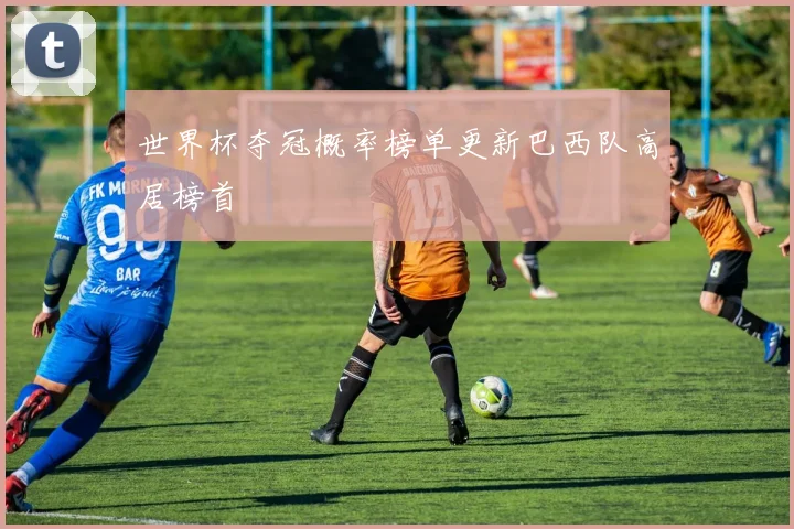 世界杯夺冠概率榜单更新巴西队高居榜首