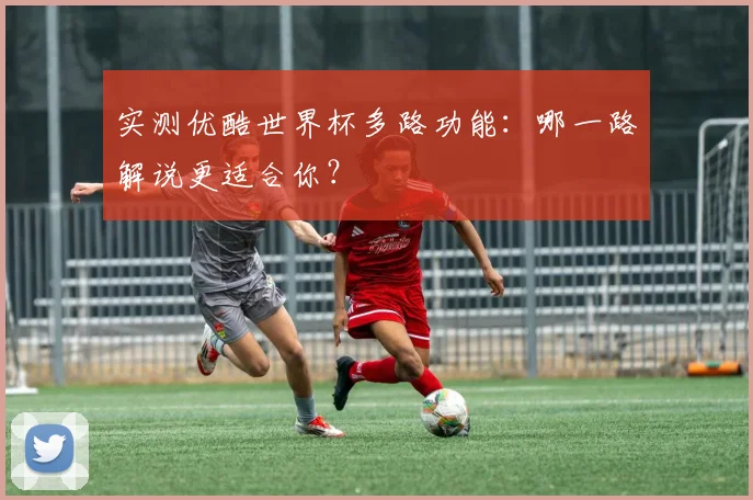 实测优酷世界杯多路功能:哪一路解说更适合你?