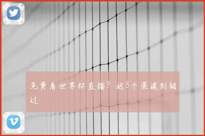 免费看世界杯直播?这5个渠道别错过