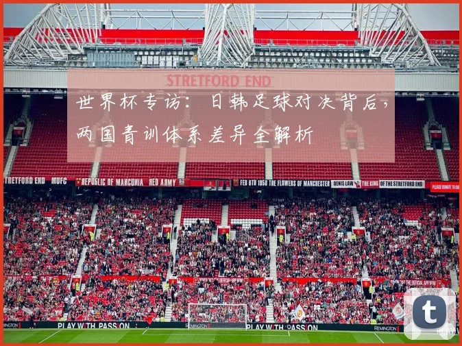 世界杯专访:日韩足球对决背后,两国青训体系差异全解析